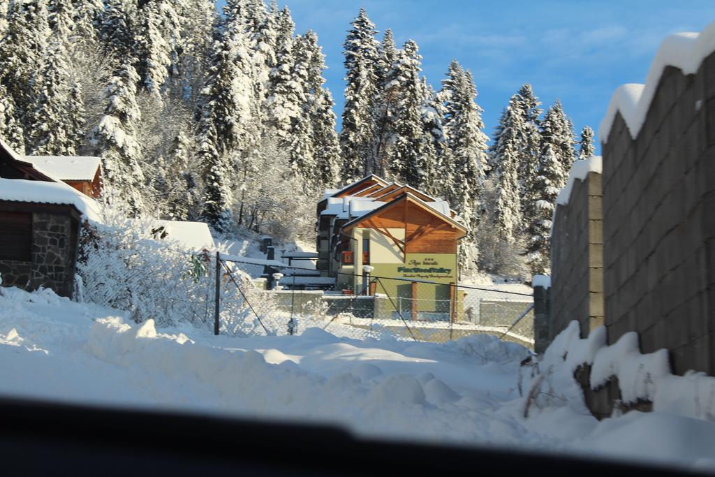 Pine Wood Apartment Vysne Ruzbachy Exterior photo